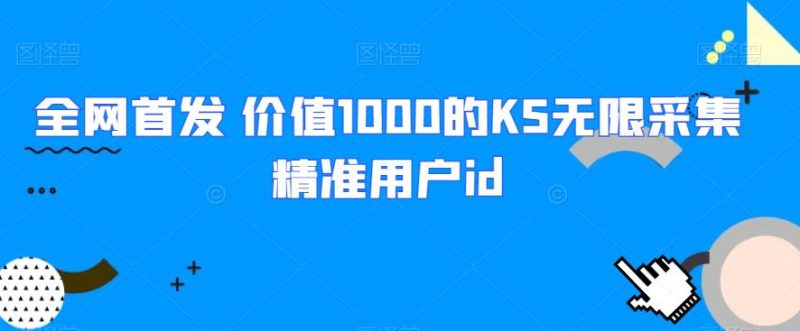 全网首发 价值1000的KS无限采集精准用户idAI资讯-AI软件-网赚项目-副业赚钱-互联网创业-资源整合-电脑软件wangyi-AI乐园